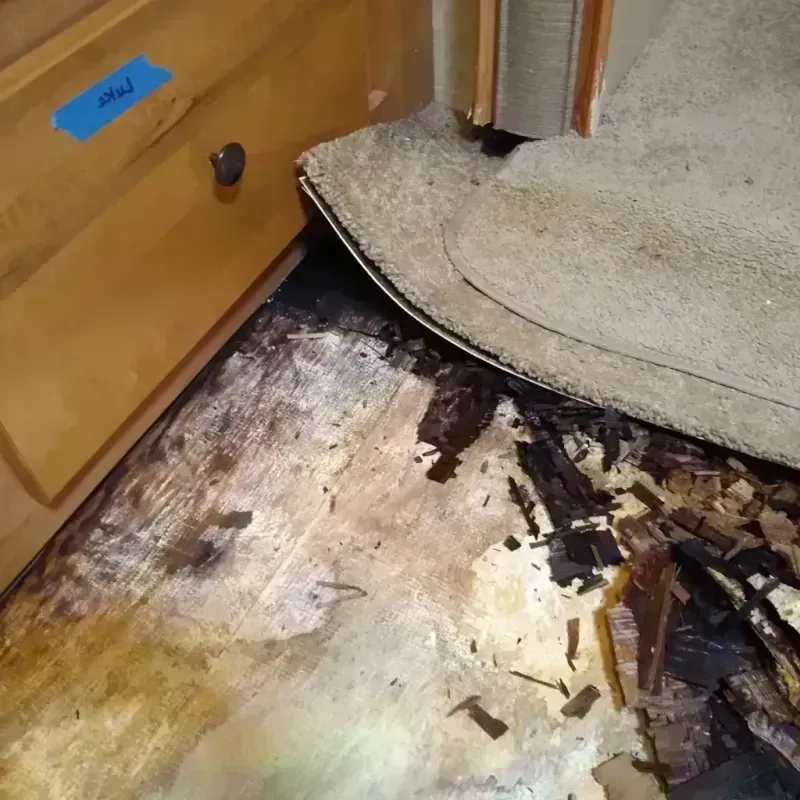 Wood Floor Water Damage in Banks Springs, LA